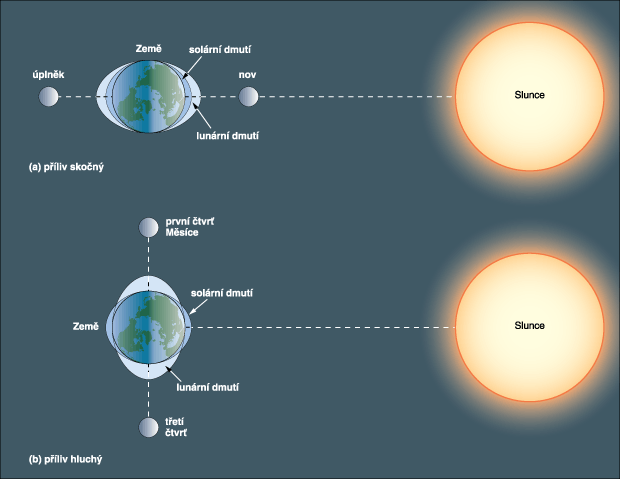 Souvislost uspodn tles v soustav Zem  Slunce  Msc a slapovch jev